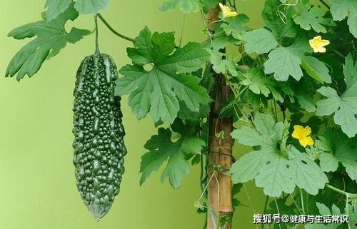 夏至吃三瓜,三瓜相伴，清凉一夏