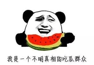 吃瓜付费怎么说