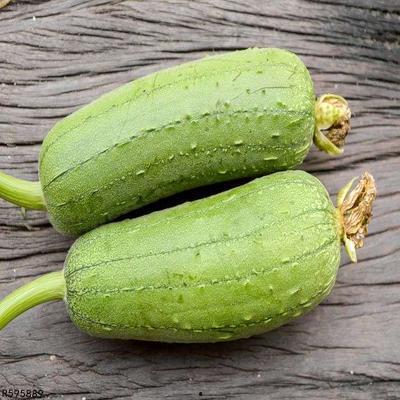 高血糖可以吃白瓜吗,白瓜的养生之道