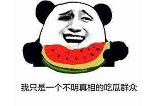 吃瓜遮住啥意思,揭秘“遮住啥”背后的趣味与真相