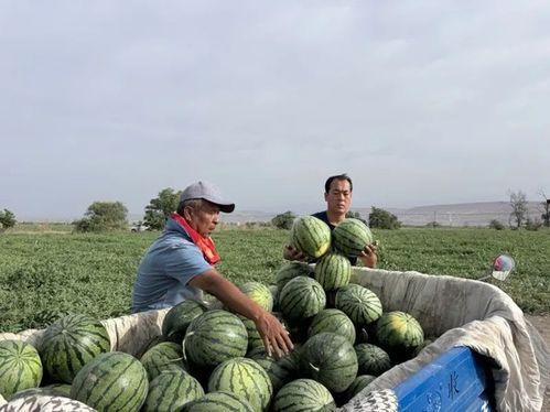 天奇吃瓜,揭秘娱乐圈幕后故事