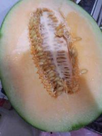 吃冰冻哈密瓜声控