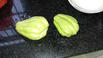 兔儿瓜可以吃吗,探究其可食用性及营养价值