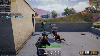 和平精英锦鲤吃瓜,和平精英中的趣味一幕