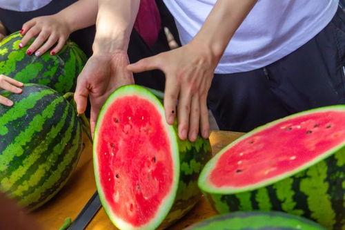 江苏学校公园吃瓜,夏日吃瓜乐趣多