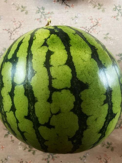 怎样表演吃瓜,揭秘吃瓜表演的绝妙技巧