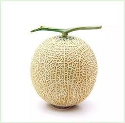 吃瓜鉴赏方法,解锁美食鉴赏新境界