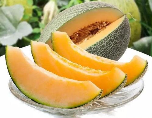 看我作品吃瓜,共赏“看我作品吃瓜”的独特魅力