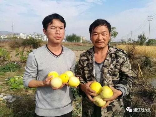 木里吃瓜群众,揭秘当地生活百态